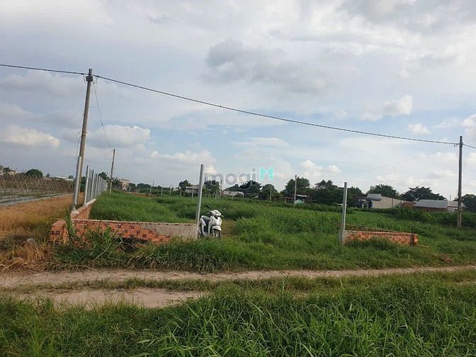 Hình ảnh Bán gấp 1000m2 đất sau lưng chợ Phước Thạnh giá 950tr