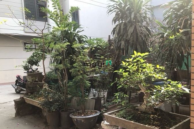 Hình ảnh Miếng đất rất đẹp 62m2 ngay ngõ Hữu Hưng, Tây Mỗ, giá chỉ 3.5 tỷ