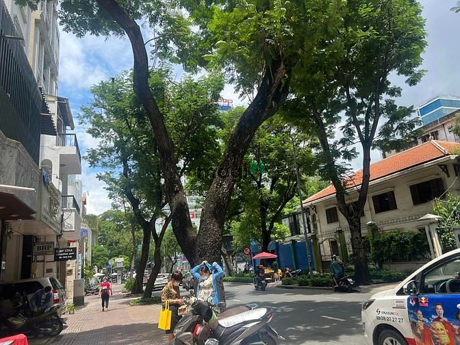 Hình ảnh ✅Mặt Tiền KD Sầm Uất Trương Định, Cực Kỳ Hiếm!!