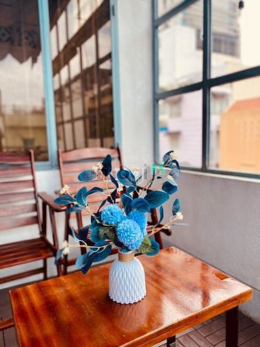 Hình ảnh Studio cửa sổ lớn thoáng mát full nội thất Võ Thị Sáu quận 1