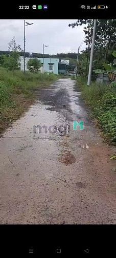 Hình ảnh Chủ cần bán đất Tân phước giá rẻ