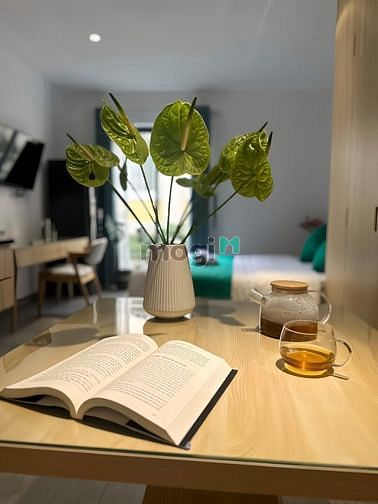 Hình ảnh __Căn Hộ Studio Tân Bình Cho Thuê Giá Tốt Gần Ngã Tư Bảy Hiền__