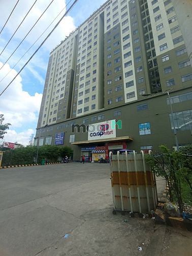 Hình ảnh Bán nhanh miếng đất tặng nhà , sổ hồng lâu dài , 66m2 , 6.2 Tỷ