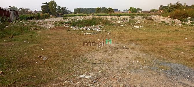 Hình ảnh Liên ấp 234, Vĩnh Lộc A, Bình Chánh, 1000m2, sổ đẹp, đường 12m