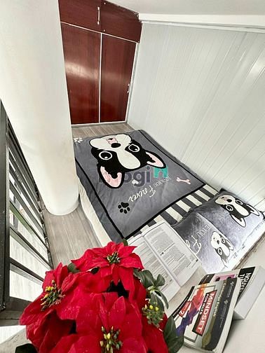 Hình ảnh 🌅Siêu phẩm DUPLEX gác cao m70_Nguyễn Trọng Tuyển gần Lăng Cha Cả