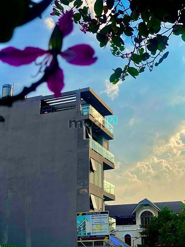 Hình ảnh 🌲 Penhouse Full Nội Thất Cao Cấp - Phan Bá Vành Mỹ Lợi Quận 2