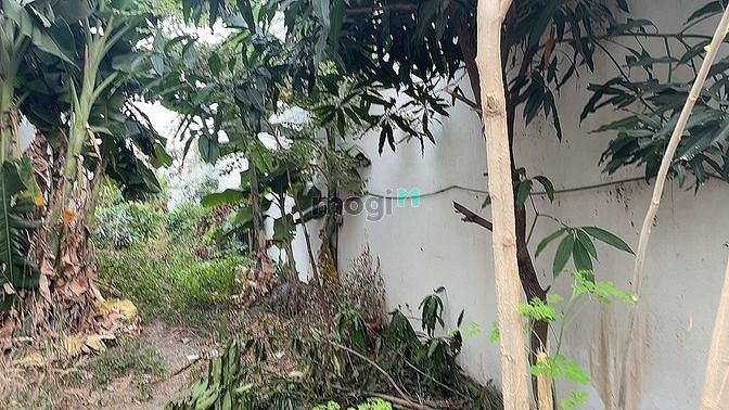 Hình ảnh Rẻ hơn bèo, bán gấp đất mặt tiền đường 494, Lê Văn Việt, Q9, 114m2.