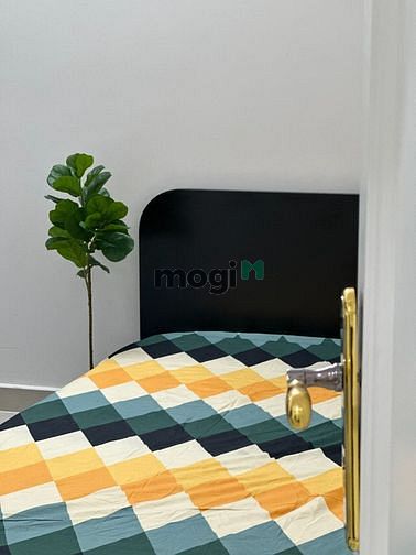 Hình ảnh Mb6623 nạp rút nhanh chóng Studio full nội thất, gần Siêu Thị GO Phú Thạnh, Tân Phú