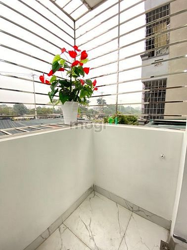 Hình ảnh CHDV ngay chân Cầu Tó, Thanh Trì
