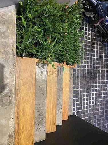 Hình ảnh Cho thuê nhà nguyên căn gần Chung cư Masteri Thảo Điền , Quận 2