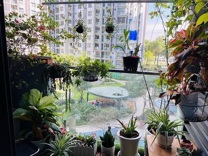 Hình ảnh Cần bán Trang Chủ MB66.COM / Đăng Ký Tặng 66K Emerald 71m2 dự án Celodon City