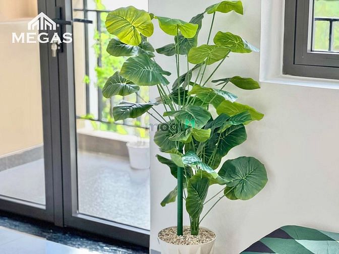 Hình ảnh Căn Hộ Studio Bancol Thoáng Ngay Đại Học Văn Lang Cs3