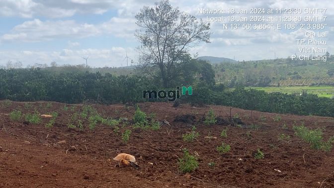 Hình ảnh Thương hiệu nhà cái Mb66 độc quyền tại Việt Nam nghỉ dưỡng phường CHI LĂNG
