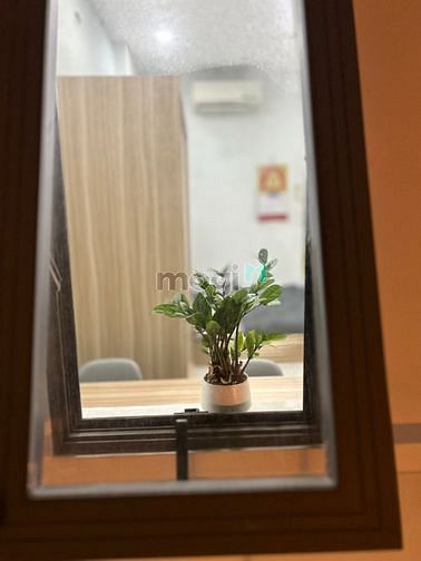 Hình ảnh Cho Thuê Căn Hộ_Studio/Nội thất mới 100%/Gần Lotte, E Town Tân Bình