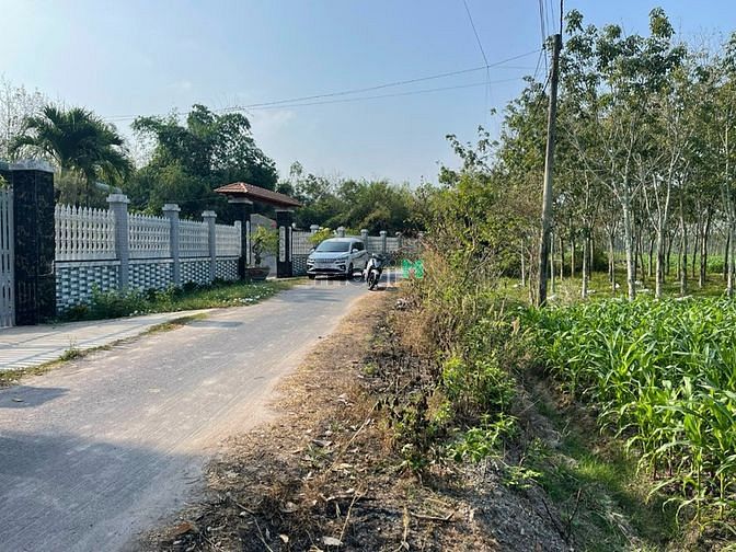 Hình ảnh Ngộp MB66 là nhà cái uy tín hàng đầu tại Việt Nam bán gấp lô đất 1334m2 Trung Lập Thượng chỉ 1tr8/m2