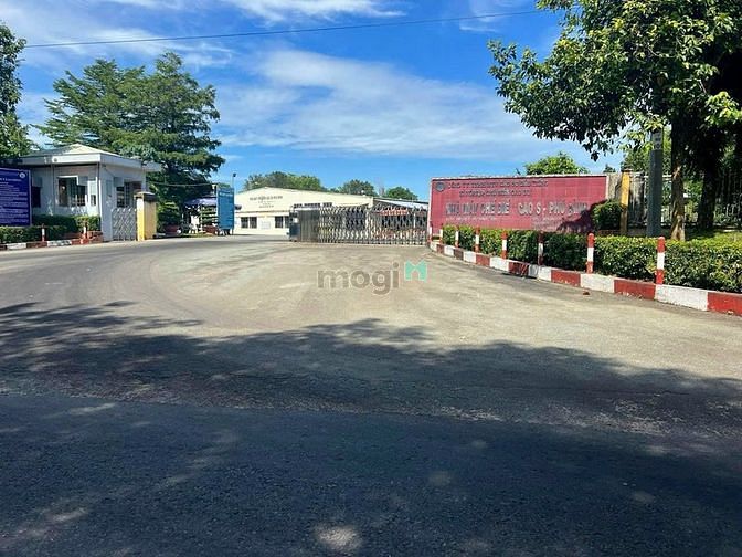 Hình ảnh Bán Đất Nền Bình Dương Rẻ Chỉ 175tr Có Thổ Cư, Công Chứng Ngay
