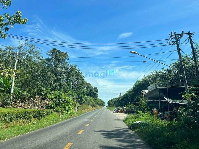 Hình ảnh Bán Đất Nền Bình Dương Rẻ Chỉ 175tr Có Thổ Cư, Công Chứng Ngay