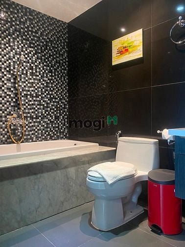 Hình ảnh Chính chủ cho thuê 2pn léman nhà nội thất mới