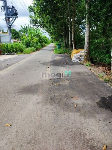Hình ảnh Bán nhà đất mặt tiền đường phạm thị liền 2800m2