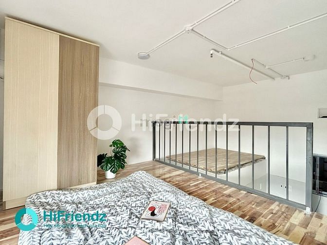 Hình ảnh DUPLEX FULL NỘI THẤT - cửa sổ trời - gần Đầm Sen - an ninh, rộng