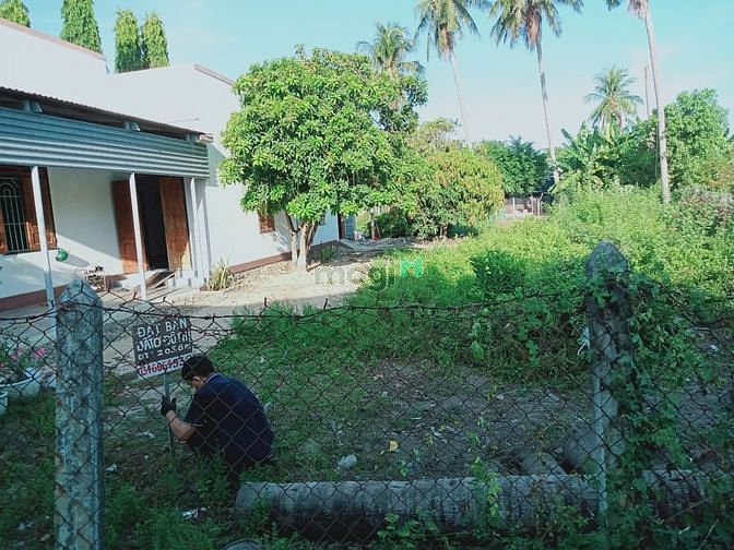 Hình ảnh Hơn 200 m2 đất thổ cư Cam Ranh, Cam Nghĩa cần bán sổ đỏ, chính chủ