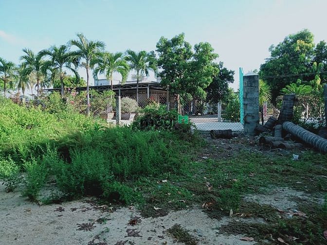 Hình ảnh Hơn 200 m2 đất thổ cư Cam Ranh, Cam Nghĩa cần bán sổ đỏ, chính chủ