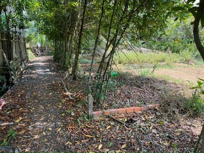 Hình ảnh Bán gấp lô đất trước Tết 100m2 giá 400tr