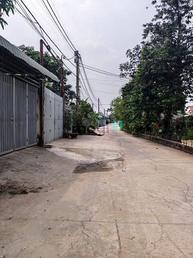 Hình ảnh Kèo Thơm 5m x 41 = 4.6 tỷ An Phú Đông Quận 12 TPHCM