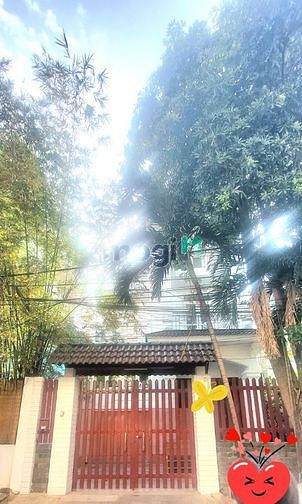Hình ảnh 🏡 Cho thuê villa 6 phòng ngủ chỉ 73tr, Đ. Nguyễn Văn Hưởng