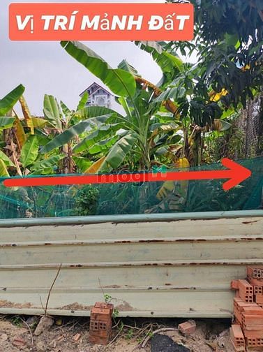 Hình ảnh Kèo Thơm 5m x 41 = 4.6 tỷ An Phú Đông Quận 12 TPHCM