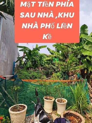 Hình ảnh Kèo Thơm 5m x 41 = 4.6 tỷ An Phú Đông Quận 12 TPHCM