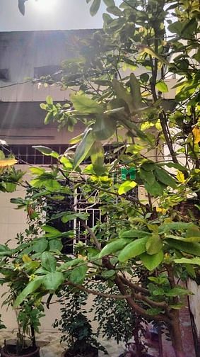 Hình ảnh Bán nhà hẻm xe hơi Hoà Hưng quận 10