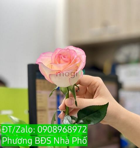 Hình ảnh Bán nhà đường Thoại Ngọc Hầu, giá 3.7 Tỷ rẻ nhất kv Tân Phú, 4x11m