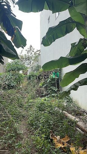 Hình ảnh Bán đất Mặt tiền đường 494, Tăng Nhơn Phú A quận 9, 114 m2, 57 Triệu/m