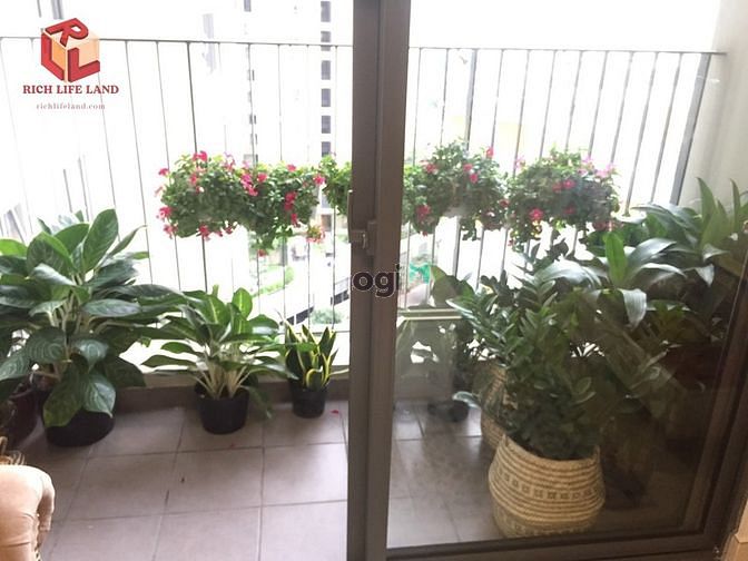 Hình ảnh Masteri Thảo Điền, full nội thất, view cao tầng, thoáng mát.