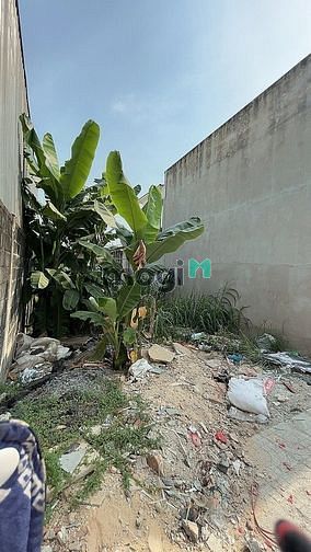 Hình ảnh Bán Đất Trần Thị Năm, Q12, 83m, Đường 8m, Xây 5 Tầng.