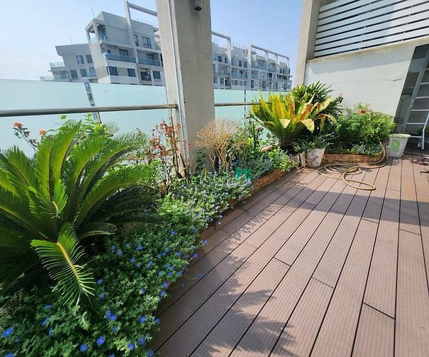 Hình ảnh ✅Cho thuê penthouse masteri Thảo Điền_3 bedroom_View Thoáng_Sân vườn✅