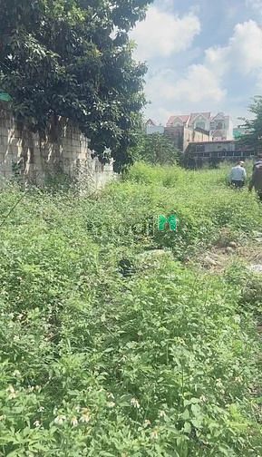 Hình ảnh Bán Đất 1621m2 Đường Lê Văn Việt, Phường Hiệp Phú, Quận 9