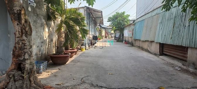 Hình ảnh TIN THẬT:575m2 đất thổ cư mặt tiền đường số 2 Trường Thọ,Thủ đức