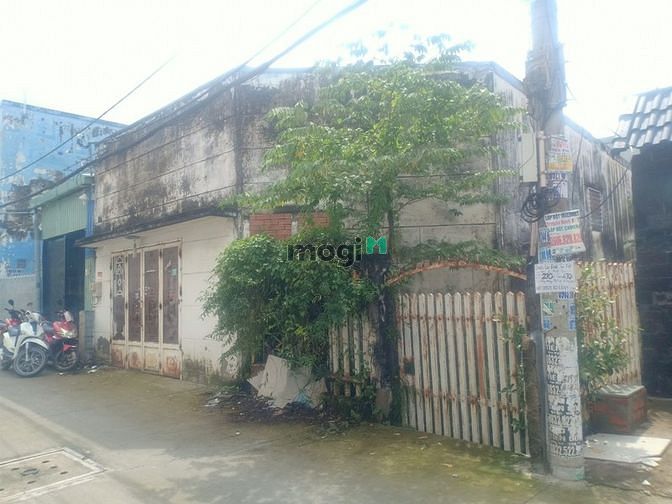 Hình ảnh Cần bán gấp nhà cấp 4 tại Quận 12