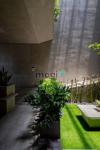 Hình ảnh 🐬 Căn Hộ Duplex Thiết Kế Cao Cấp Tối Giản _ Rộng 50m2 _ Trần Não Q2