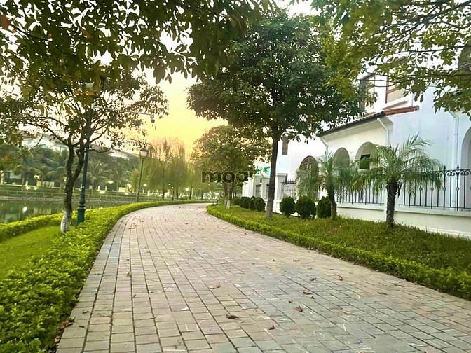 Hình ảnh Chính Chủ Bán Shophouse Hồ Nam An Khánh, Mặt Đường 40m, Trục Thông Vin