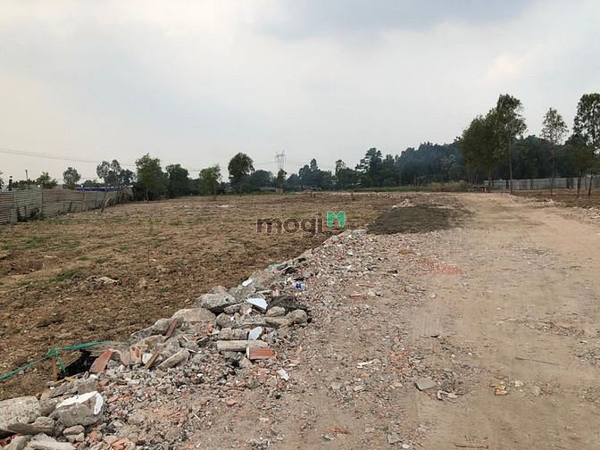 Hình ảnh Bán đất thổ cư 1000m2 đường Trần Đại Nghĩa, Q.Bình Tân