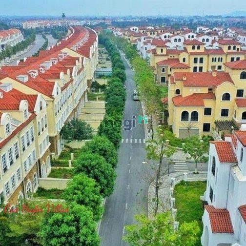 Hình ảnh Chính Chủ Bán Shophouse Hồ Nam An Khánh, Mặt Đường 40m, Trục Thông Vin