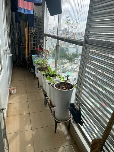 Hình ảnh Cho thuê Mb6623 nạp rút nhanh chóng 3PN,110m2 The Morning Star,full nội thất, Bình Thạnh.