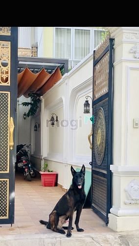 Hình ảnh Bán Nhà MT kinh doanh Thủ Đức - 150M2 chỉ 10.9 Tỷ