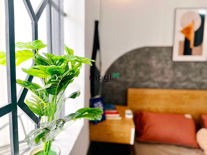 Hình ảnh Căn Hộ Mini - Full Nội Thất - Bình Giã