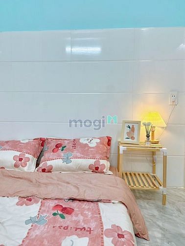 Hình ảnh 💕Cho thuê Trang Chủ MB66.COM / Đăng Ký Tặng 66K giá từ 4tr Gần đại học Văn Hiến - Kênh Tân Hóa
