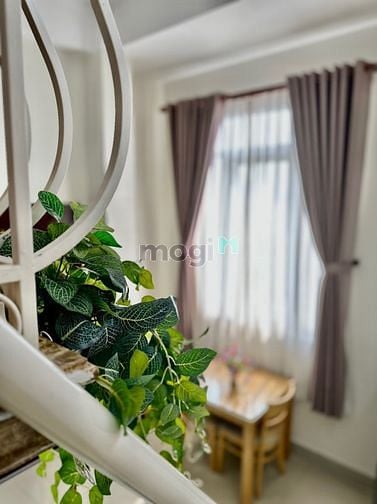 Hình ảnh Mb6623 nạp rút nhanh chóng Duplex siêu chill, cửa sổ to, ban công, full nội thất