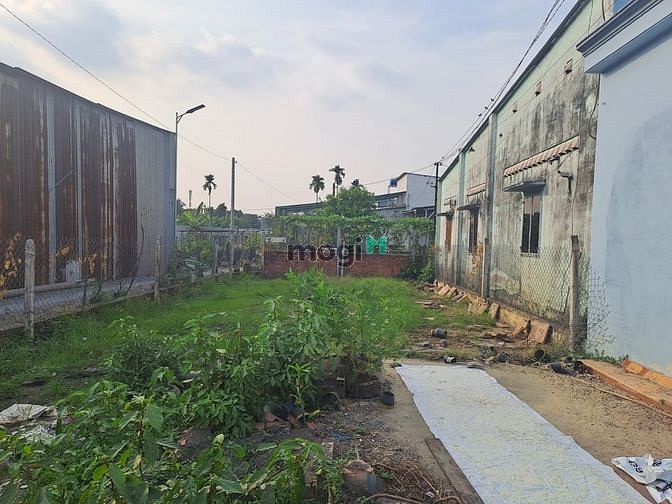 Hình ảnh 7 X 20 = 140m2 có 4,6 tỷ Vườn Lài An phú Đông Quận 12 TPHCM